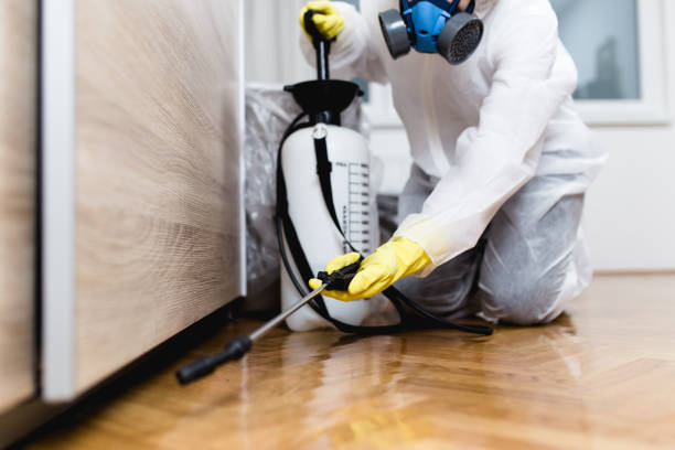Best Commercial Pest Control Services  in Braham, MN