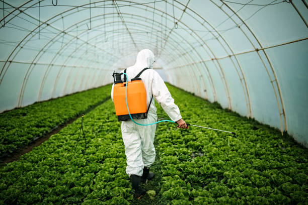Best Pest Inspection Near Me  in Braham, MN