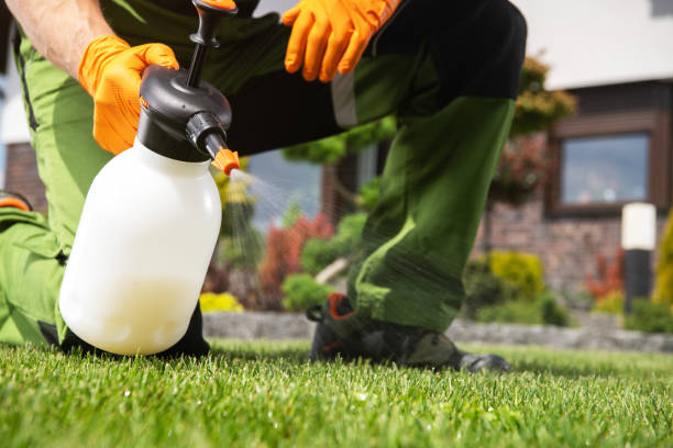 Best Best Pest Control Companies  in Braham, MN