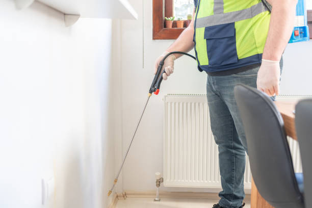 Best Flea Control Services  in Braham, MN